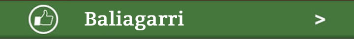 m menu pratique